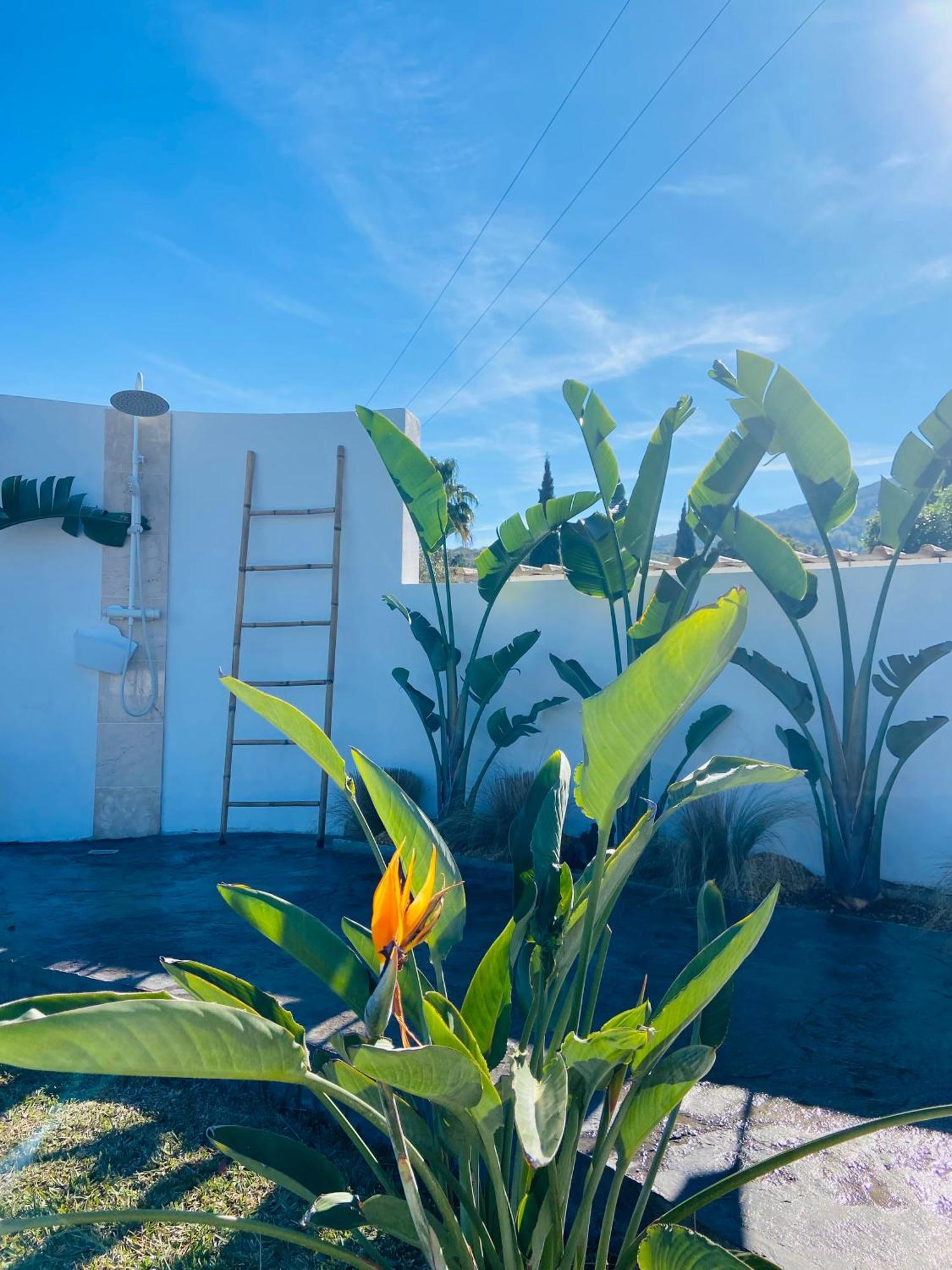 Casa Avellana Vila Dénia Exterior foto